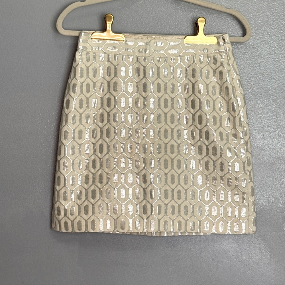 Banana Republic‎ Shimmer Skirt